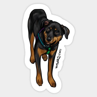 Pepper — Dogs of Redstone, Colorado Sticker